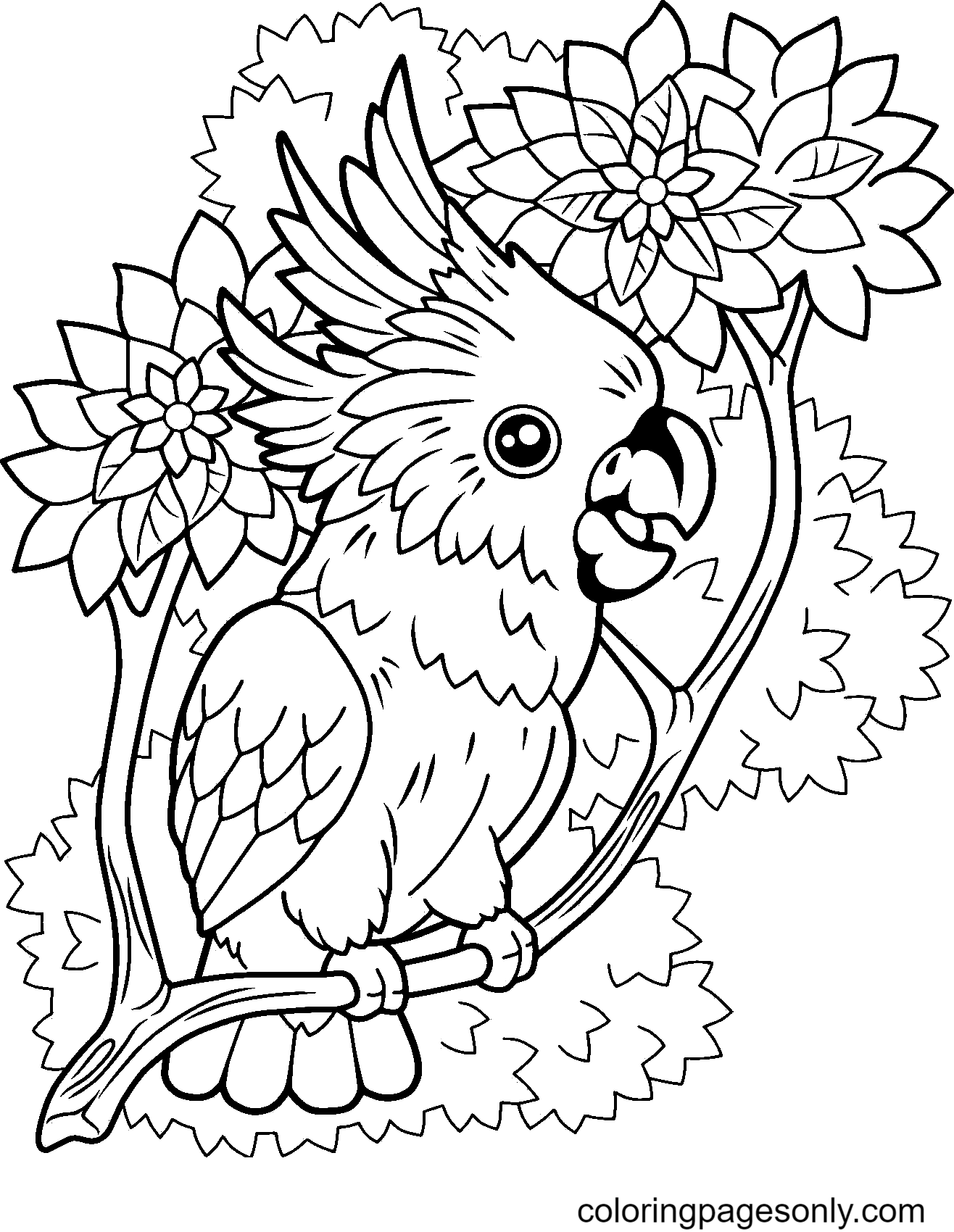 Cute Cockatoo Parrot Coloring Page