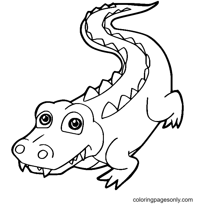 Cute Simple Alligator Coloring Page