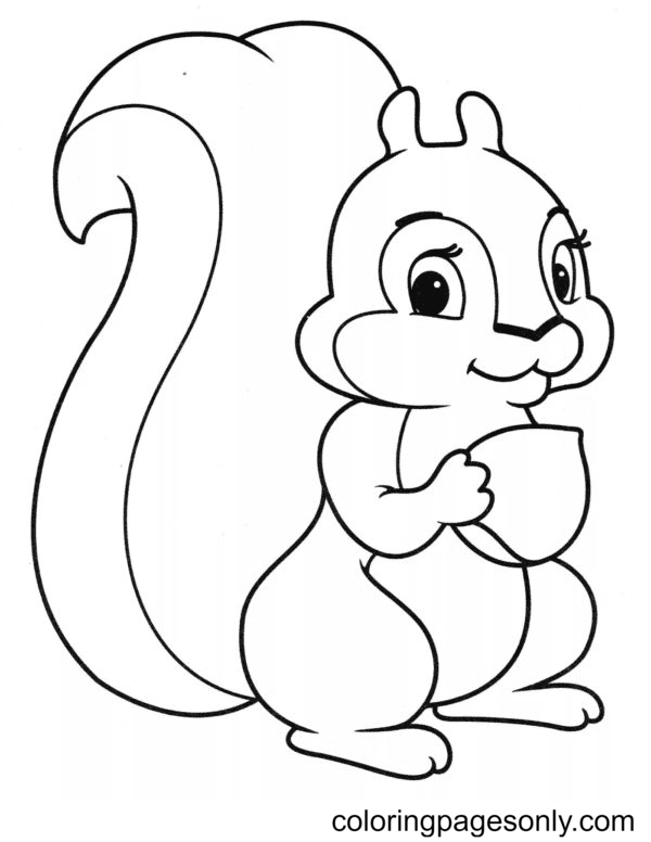 Squirrel Esquilo Filhote Raccoon Eekhoorn Tudodesenhos Imprimir 