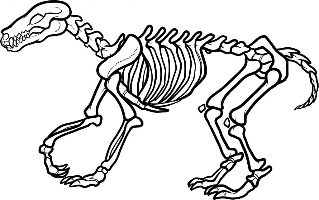 Esqueleto de dinosaurio de esqueleto