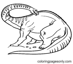 Páginas para colorir Diplodocus
