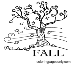 Páginas para colorir de outono