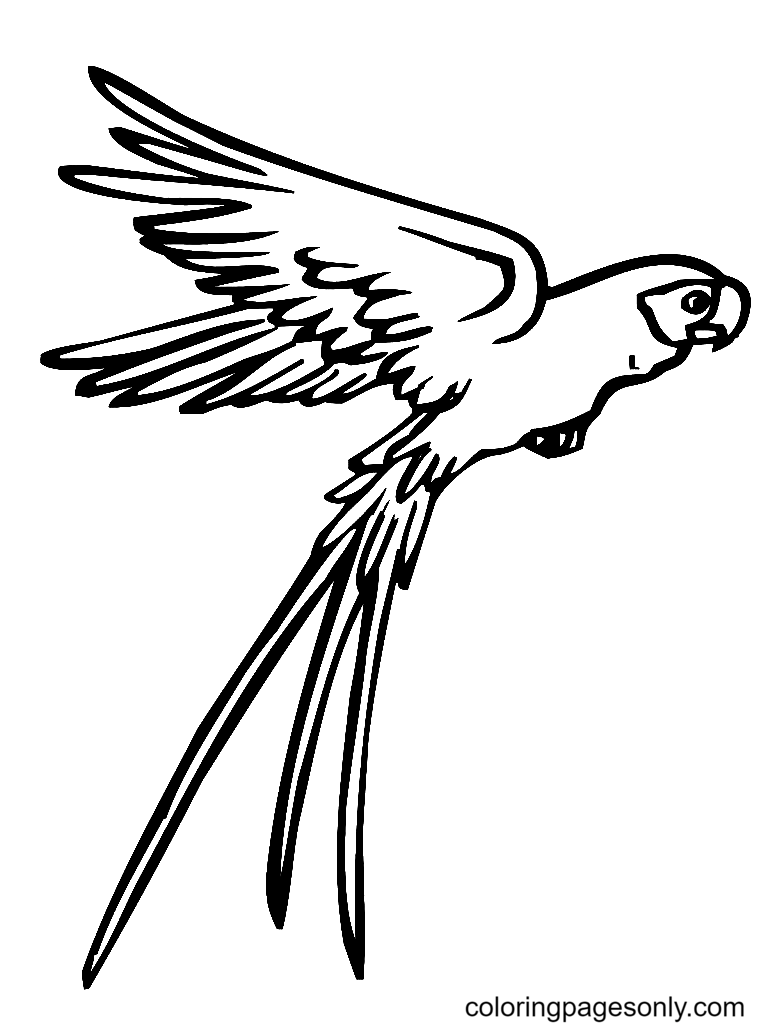 Loro volador de Parrot