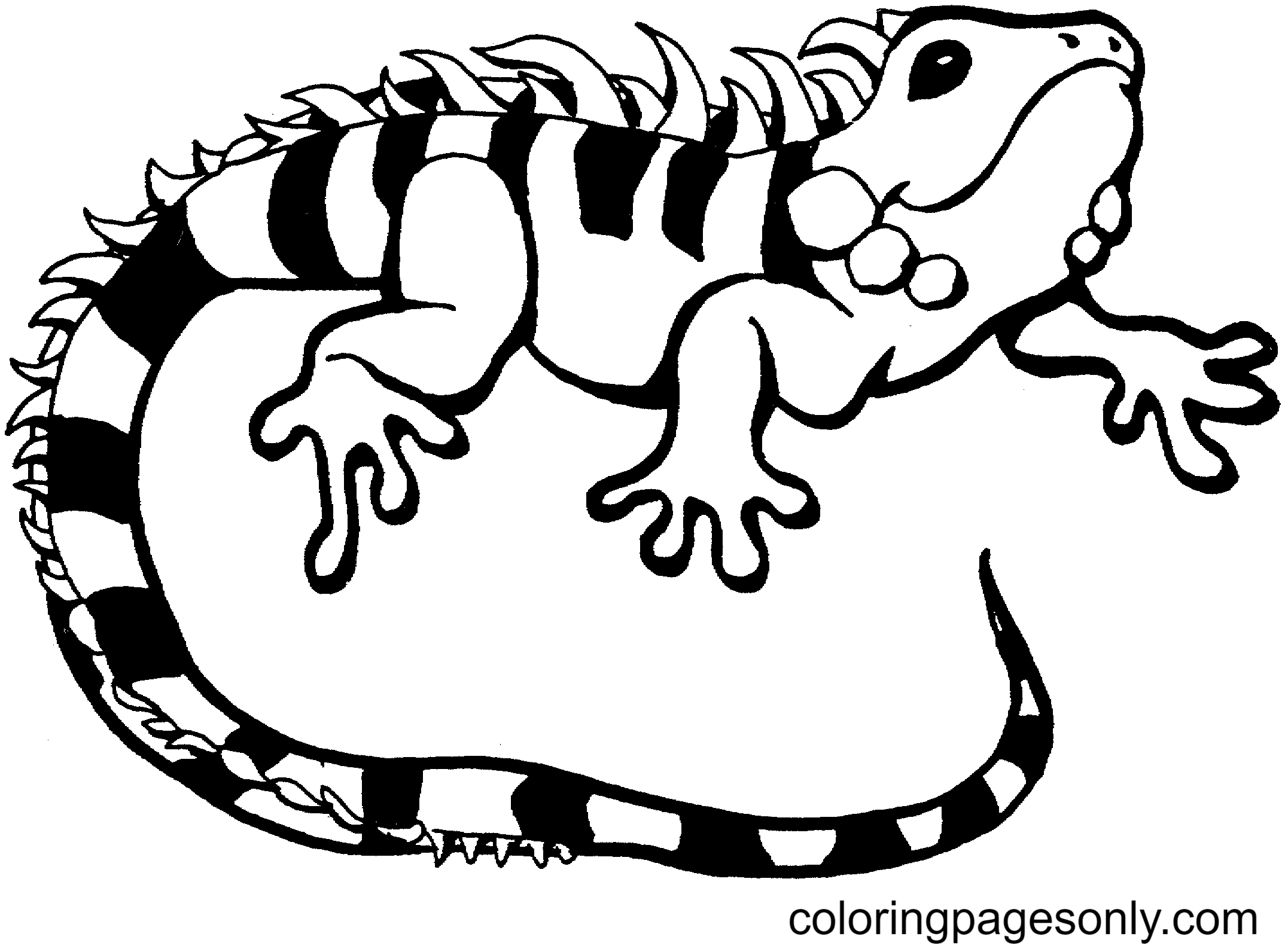 Free Lizard Coloring Page - Free Printable Coloring Pages