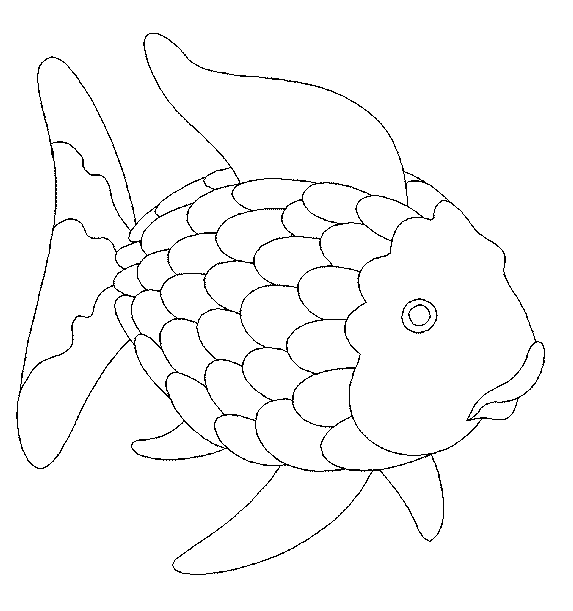 أسماك قوس قزح مجانية للأطفال من أسماك قوس قزح