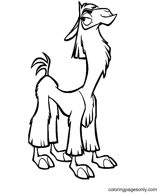 Lama divertente cartone animato di Llama