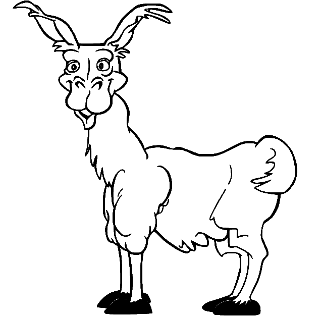 Funny Old Llama Coloring Pages