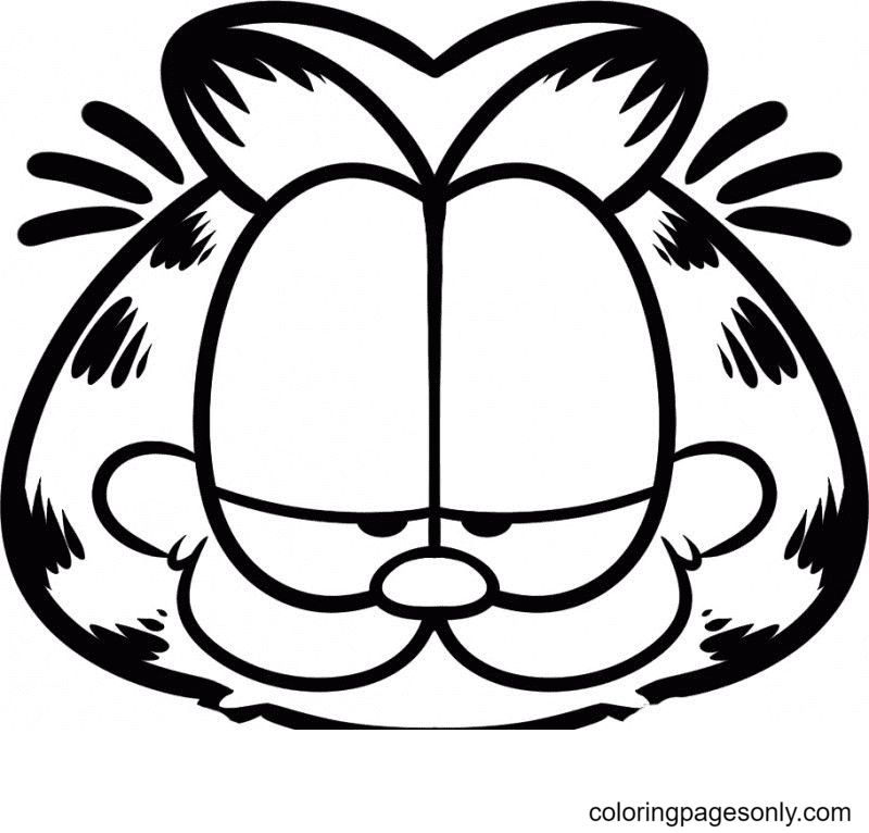 Garfield-gezicht van Garfield