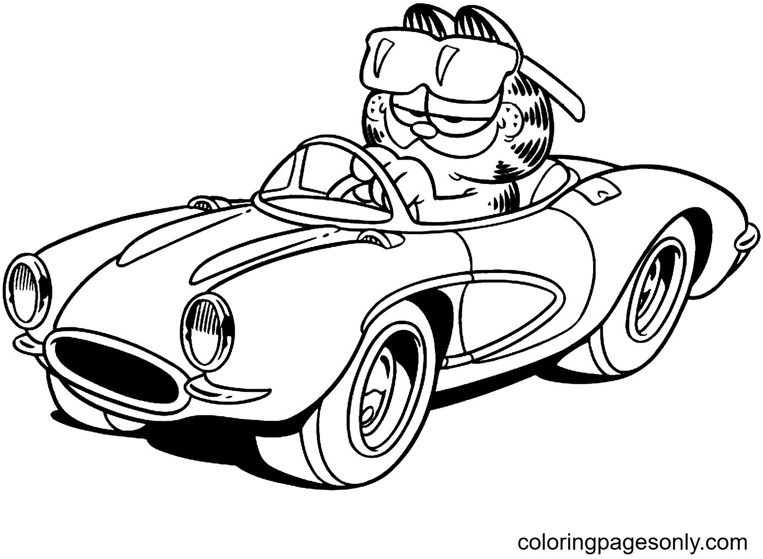 Garfield On The Car from Garfield