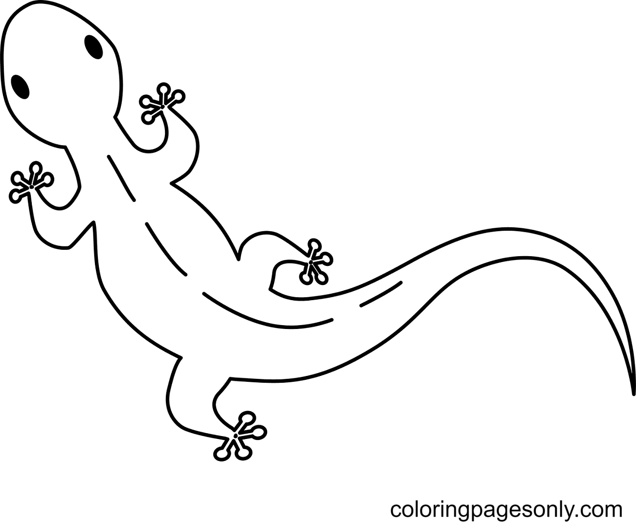 Gecko Coloring Pages