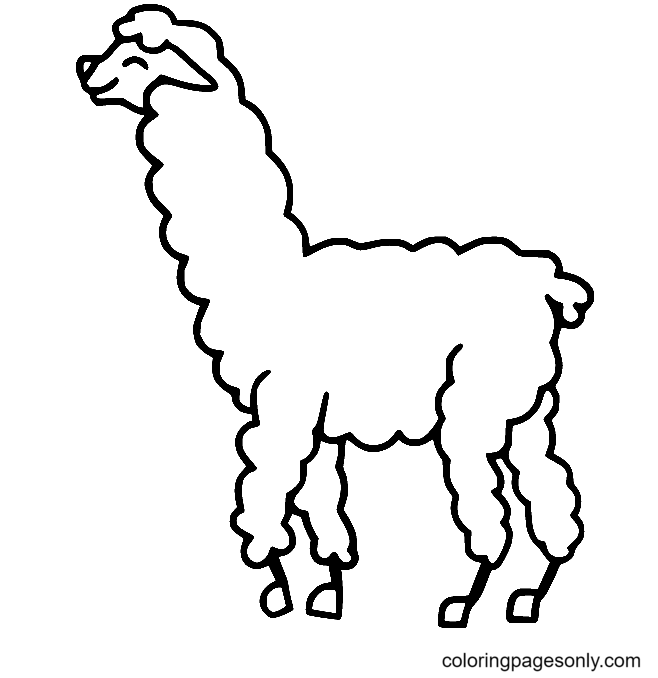 Happy Llama Coloring Page