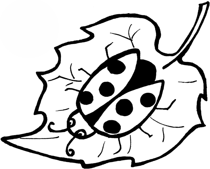 Ladybird On a Leaf Coloring Pages