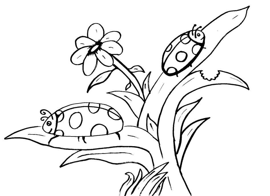 Marienkäfer und Blumen von Bugs