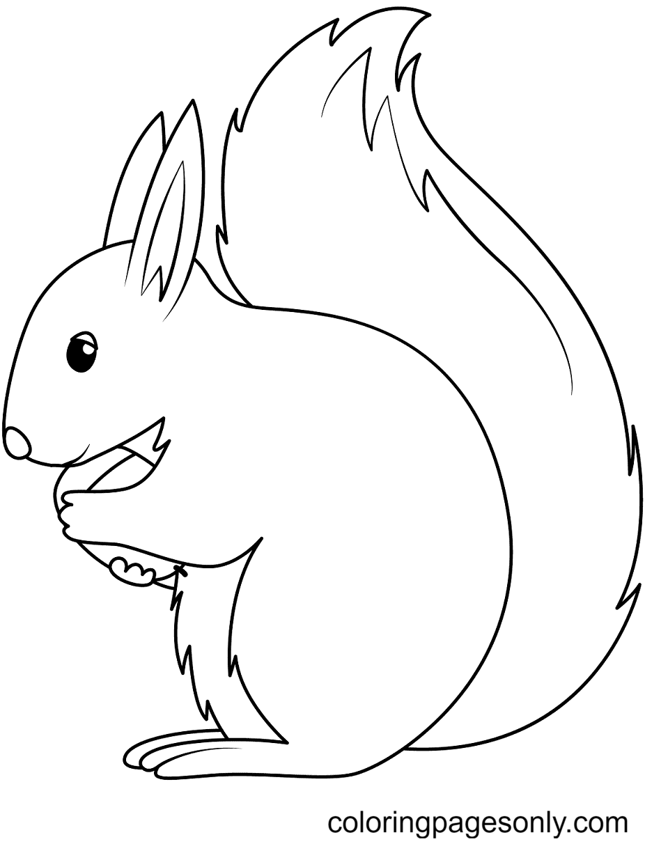 Little Squirrel Holding Acorn Coloring Page