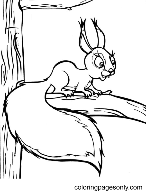 Little Squirrel on Tree Coloring Page
