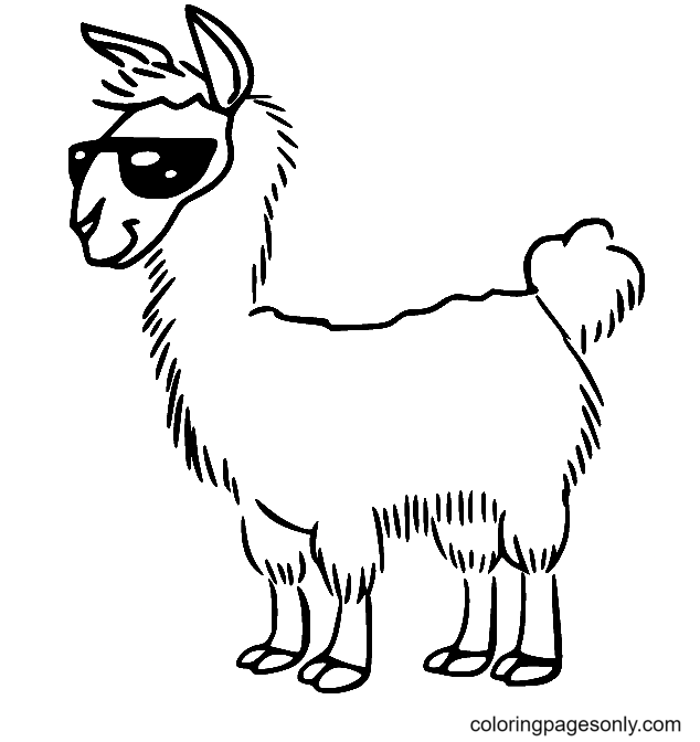 Llama with Sunglasses Coloring Page