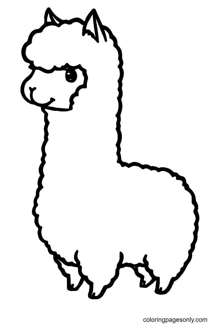 Llama Coloring Pages   Coloring Pages For Kids And Adults