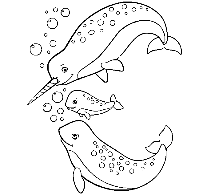 Narwhal Family in the Sea Coloring Page