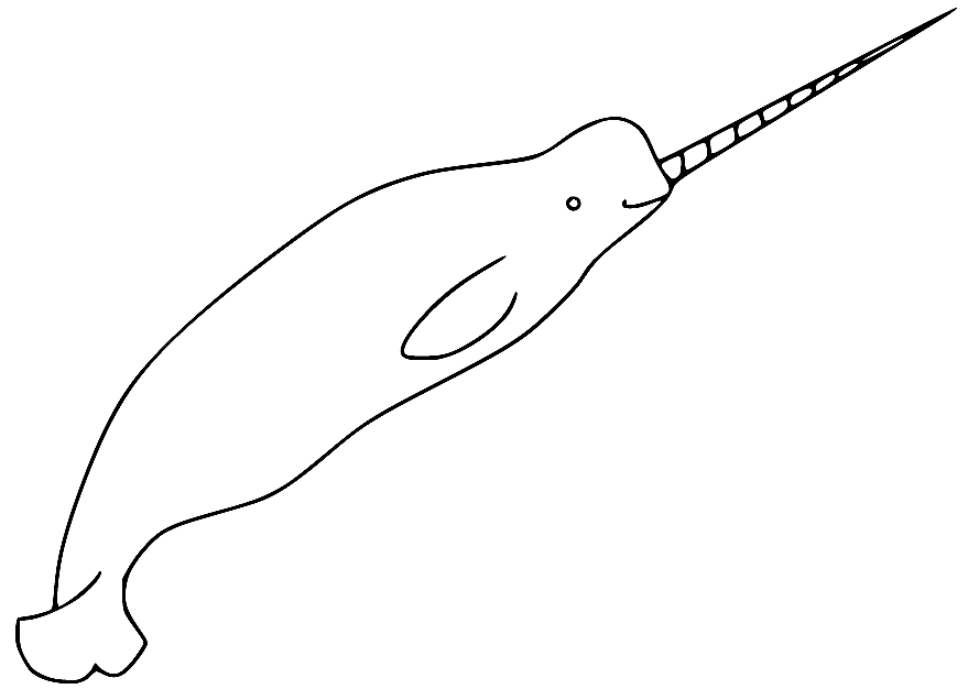 Narval exempt de narval