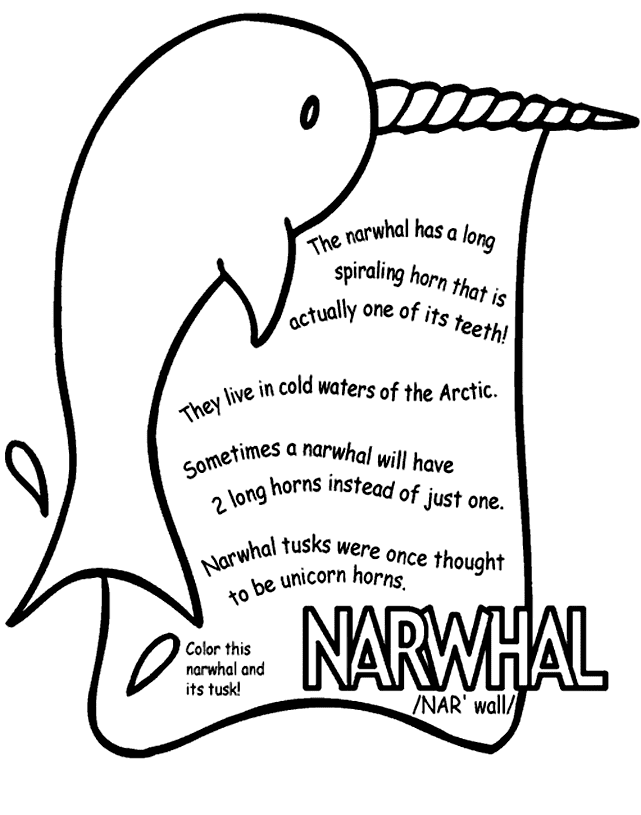 Narwhal Info Página Para Colorear