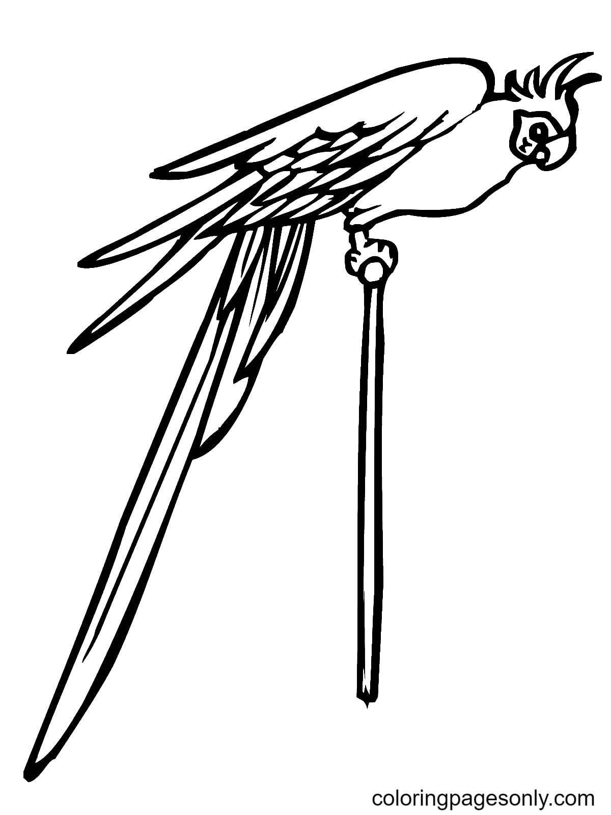 Parakeet on a Pole Coloring Page