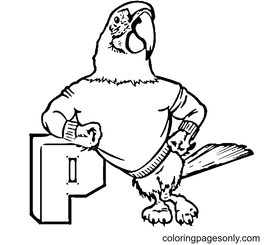 Parrot Picture Coloring Page