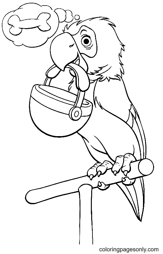 Parrot Want to Eat Coloring Page