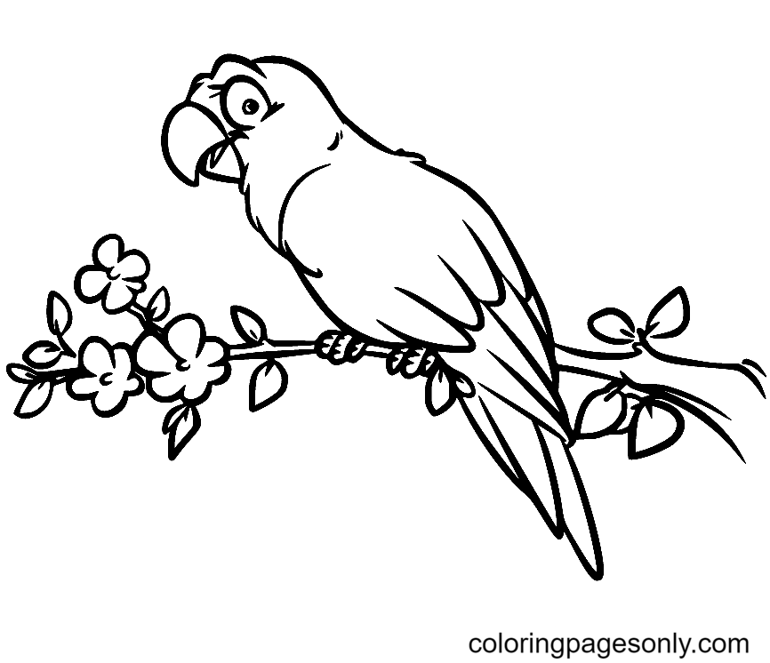 Parrot and Flowers Coloring Page