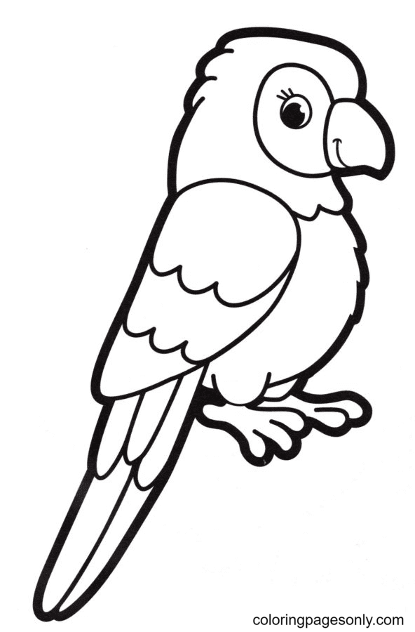 Papegaai voor kinderen van Parrot
