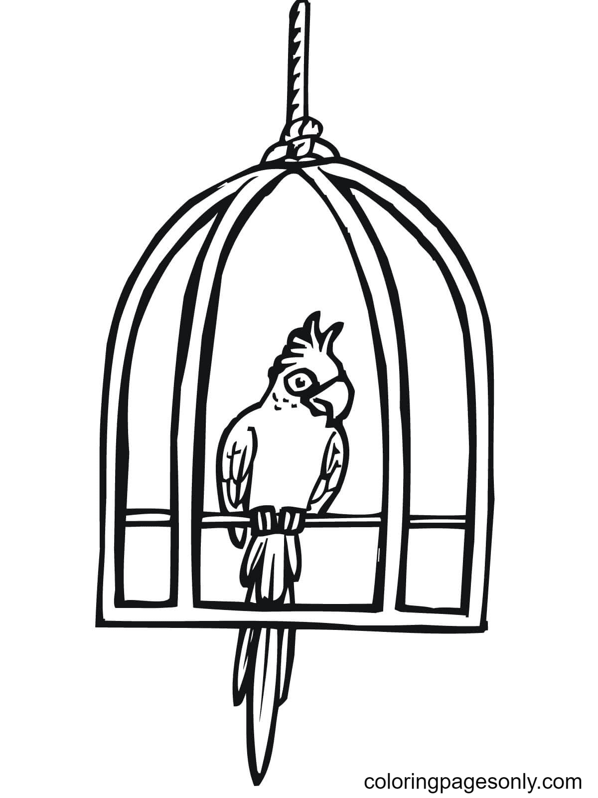 Parrot in a Cage Coloring Page