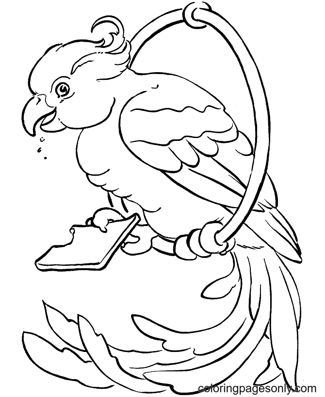Parrot on the Swing Coloring Page