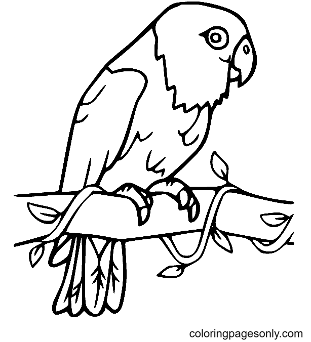 Попугай на дереве из мультфильма "Попугай"