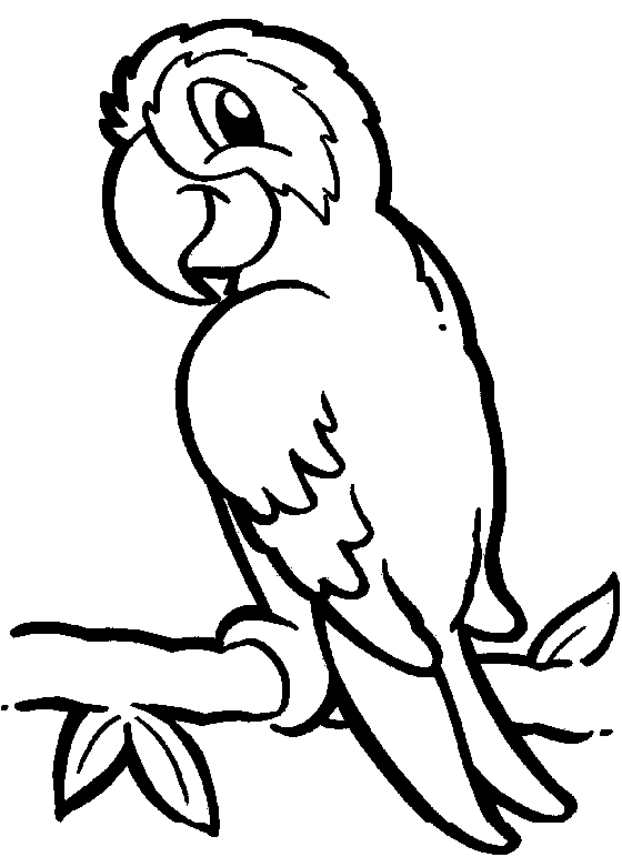 Pretty Parrot Coloring Page