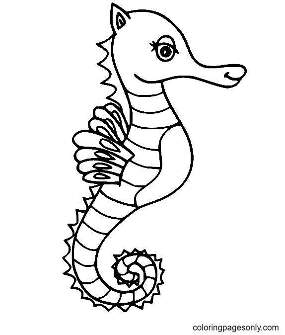 Joli hippocampe de Seahorse