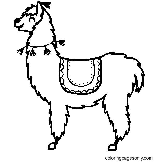 Pretty Smiling Llama Coloring Pages