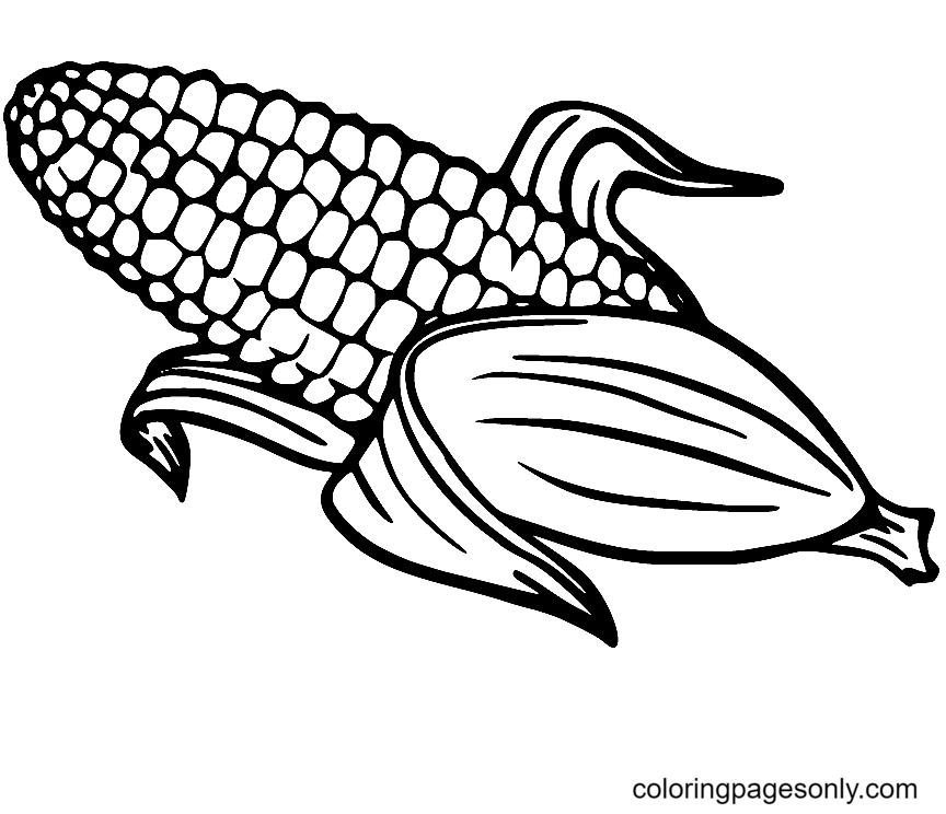 Раскраска Кукуруза для печати