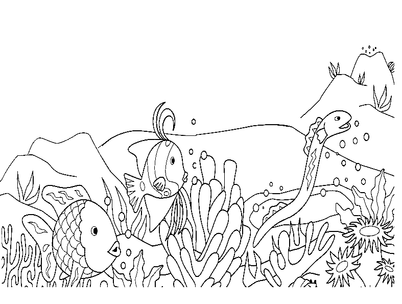 Rainbow Fish Printable Coloring Page - Free Printable Coloring Pages
