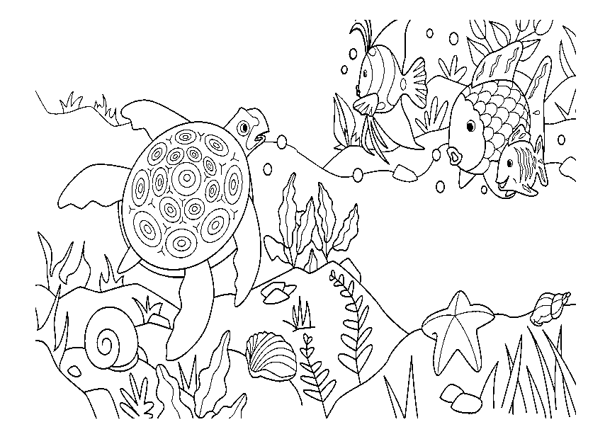 Regenboogvis, zeeschildpad, zeester Kleurplaat