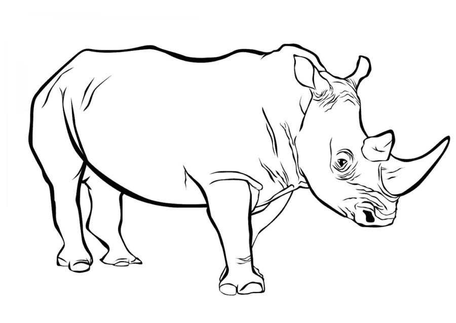 Реалистичный носорог из реалистичного животного