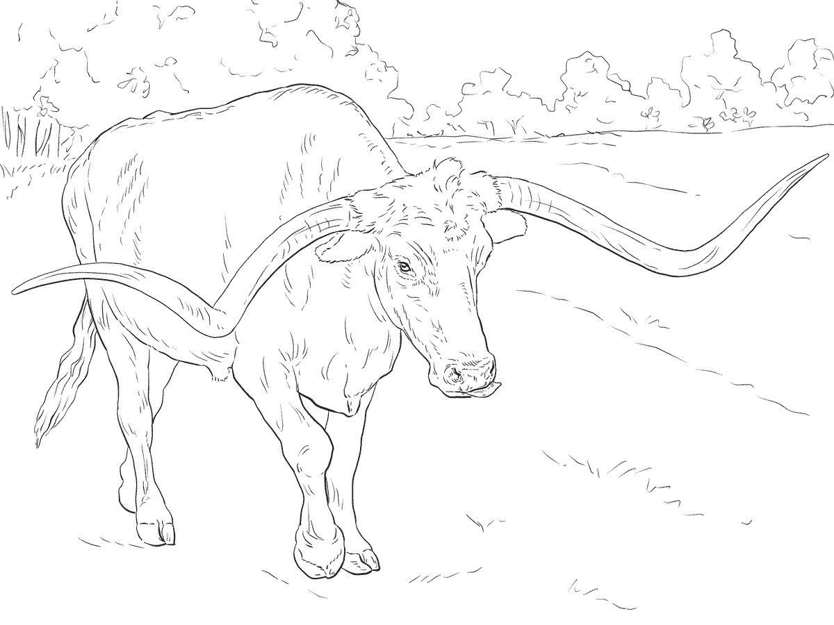 Realistisches Texas Longhorn von Realistic Animal