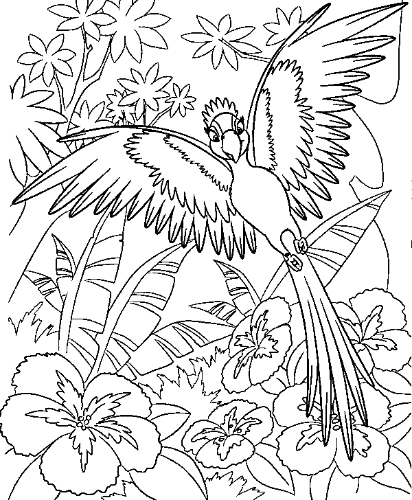Rio Cartoon Parrot Coloring Page