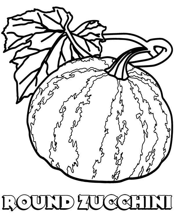 Round Zucchini Coloring Page