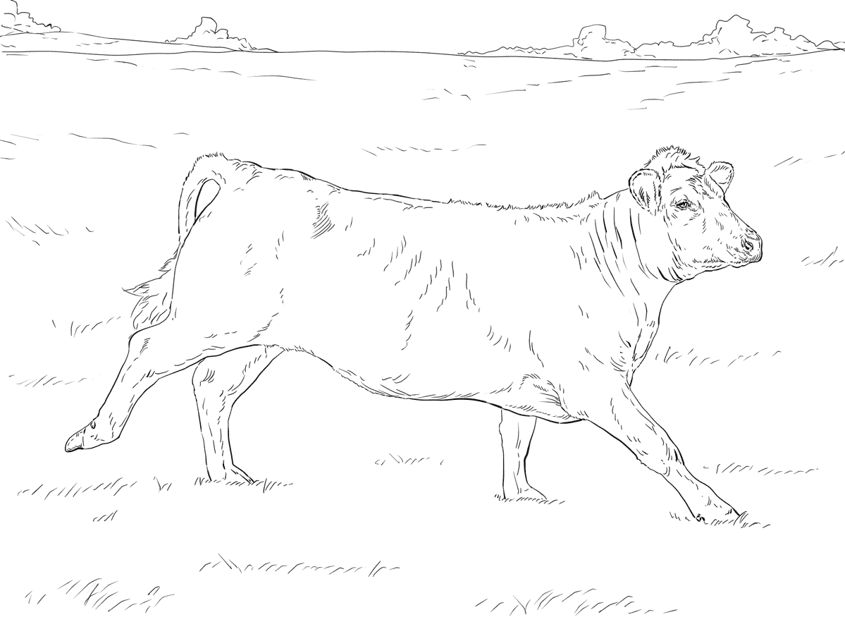 Running Cow Coloring Pages
