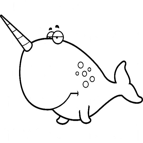 Sad Narwhal from Narwhal