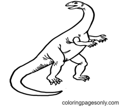蜥臀目恐龙着色页