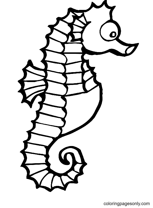Image d'hippocampe de Seahorse