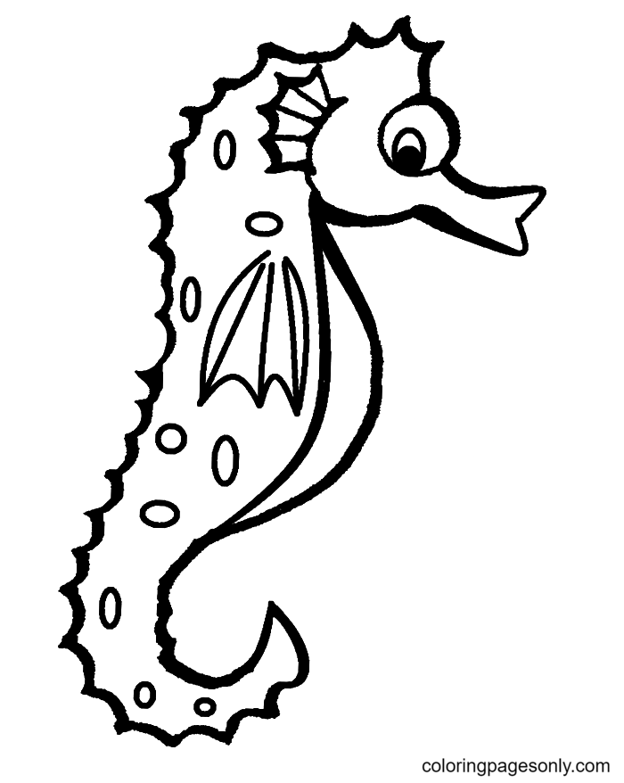 Seepferdchen-Bild von Seahorse