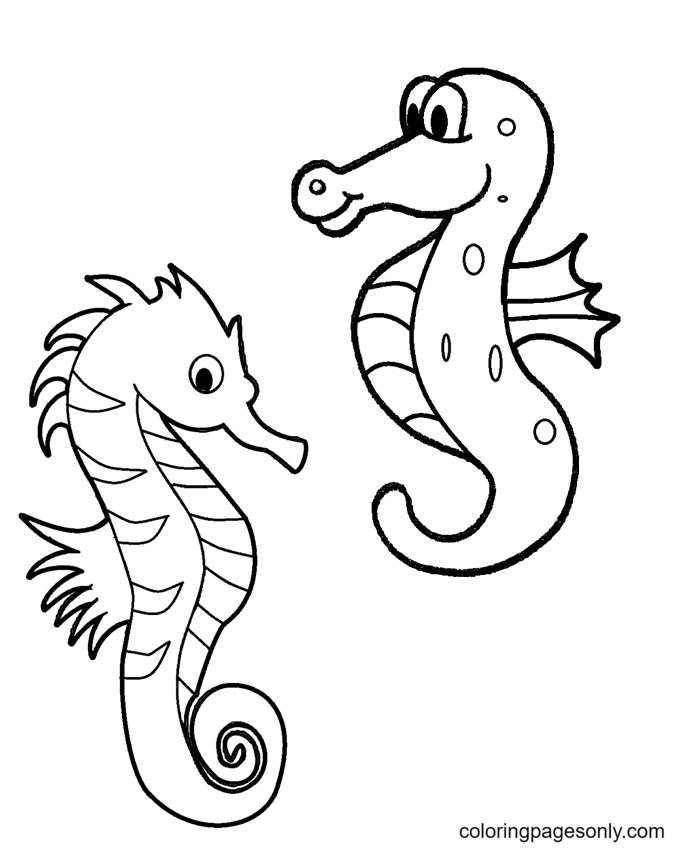 Seahorses Coloring Page