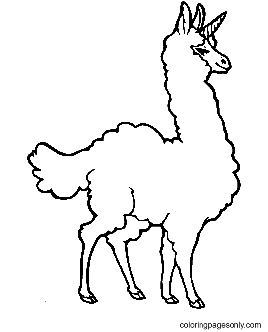 Eenvoudige Lama Eenhoorn van Llama