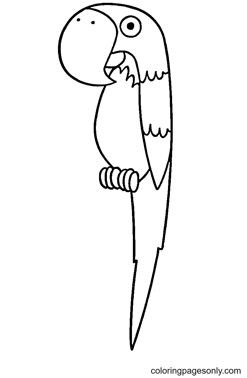 Simple Parrot Coloring Page